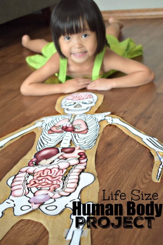 Life Size Human Body Project is such a fun kids activity to learn about the human body for kids