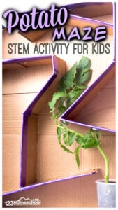 Your kids love mazes, but they've never seen something as incredibly COOL as this  maze potato! This potato maze will blow kids away as they watch potatoes grow, learn about plants and their need to head towards the light. This plant activity for kids is perfect for spring or summer learning. All you need to try stem activities are a few items you probabaly have around the house to try this plant experiments for kids from preschool, kindergarten, pre-k, first grade, 2nd grade, and 3rd graders too!